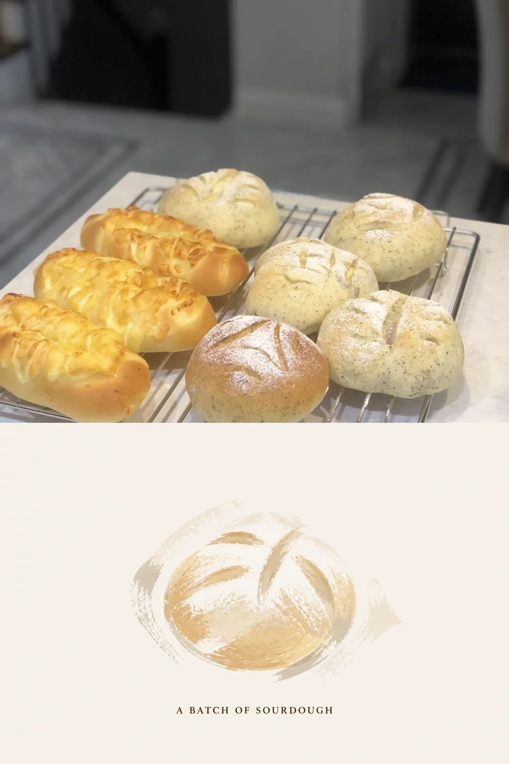 欧包们